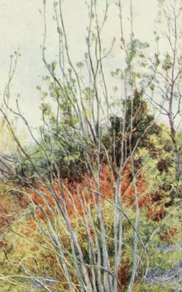 An illustration from Happy England as painted by Helen Allingham, R.W.S, 1903, leaf 258