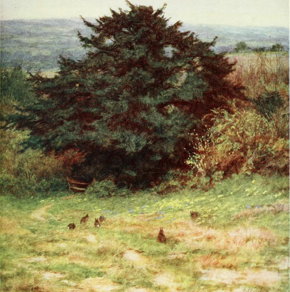 An illustration from Happy England as painted by Helen Allingham, R.W.S, 1903, leaf 264