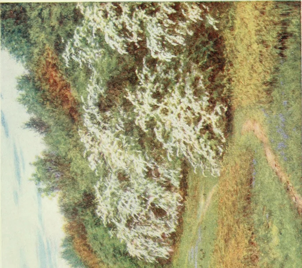 An illustration from Happy England as painted by Helen Allingham, R.W.S, 1903, leaf 268