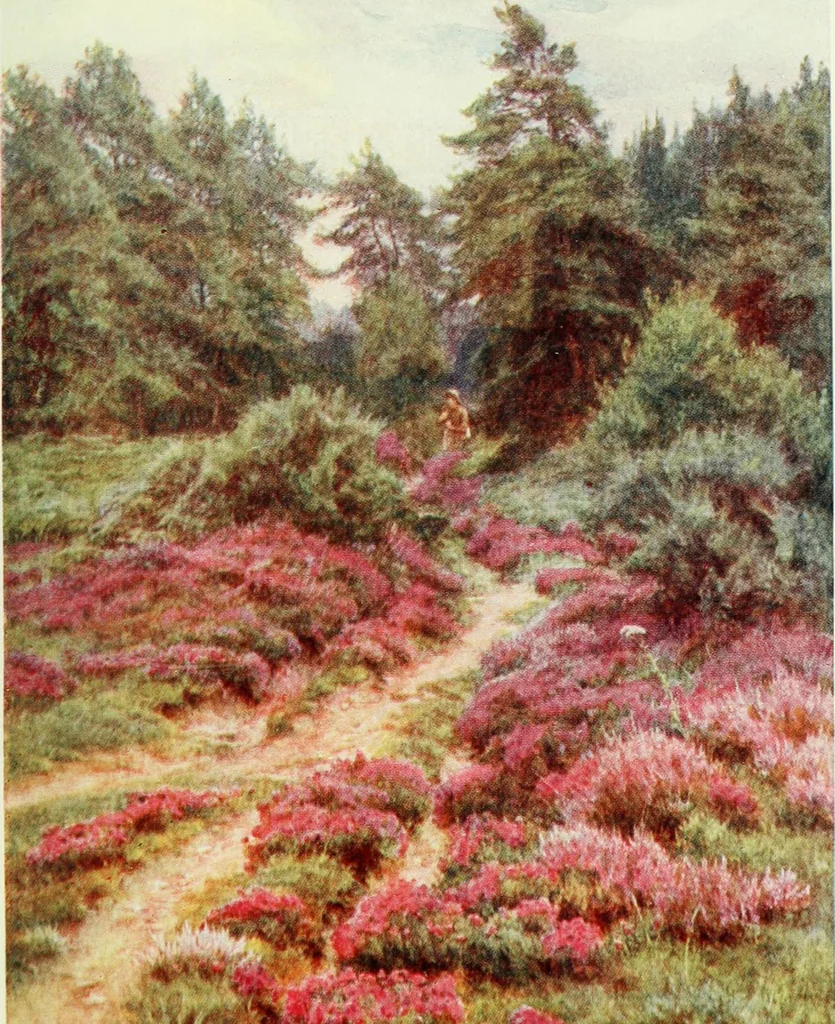 An illustration from Happy England as painted by Helen Allingham, R.W.S, 1903, leaf 286