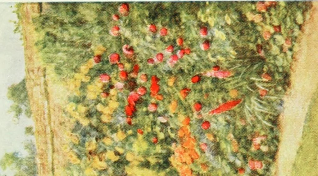 An illustration from Happy England as painted by Helen Allingham, R.W.S, 1903, leaf 436