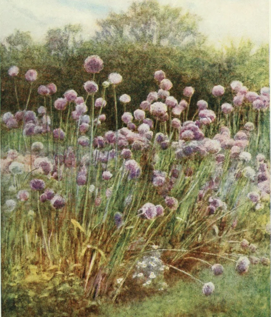 An illustration from Happy England as painted by Helen Allingham, R.W.S, 1903, leaf 446