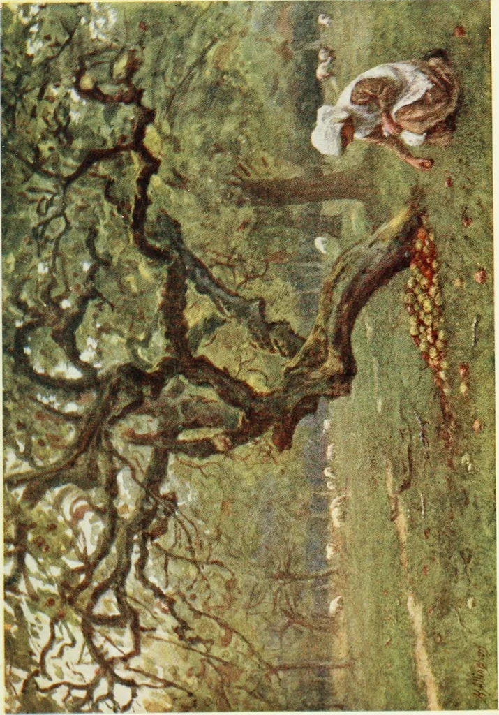 An illustration from Happy England as painted by Helen Allingham, R.W.S, 1903, leaf 450