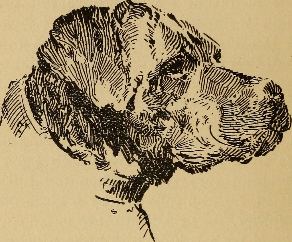 An illustration from Happy Hill, 1920, leaf 27