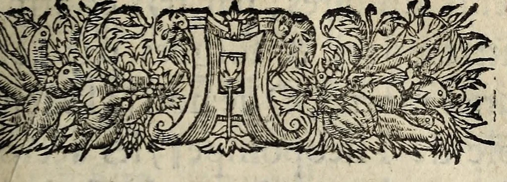 An illustration from Harangve av Roy, a la Roine, et avx hommes françois, sur l'entretenement & reconciliation de la paix, & entree dudict Seigñr en ses villes., 1565, leaf 3