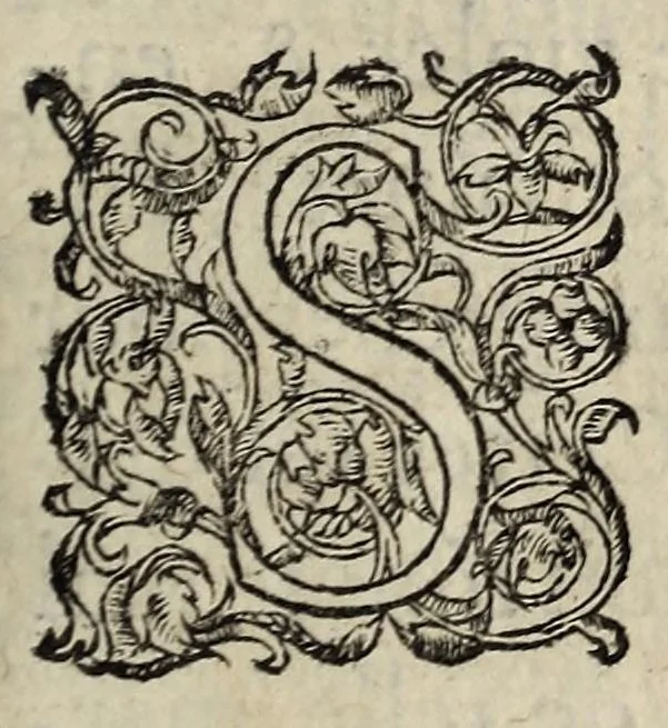An illustration from Harangve av Roy, a la Roine, et avx hommes françois, sur l'entretenement & reconciliation de la paix, & entree dudict Seigñr en ses villes., 1565, leaf 3