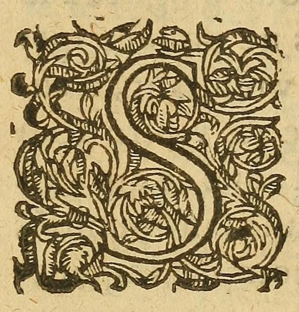 An illustration from Harangve faicte av Roy par Messievrs de la Court de Parlement : sur la rupture des prisons du grand Chastelet faite la nuict du Lundy 13. Iuin 1616, 1616, leaf 11