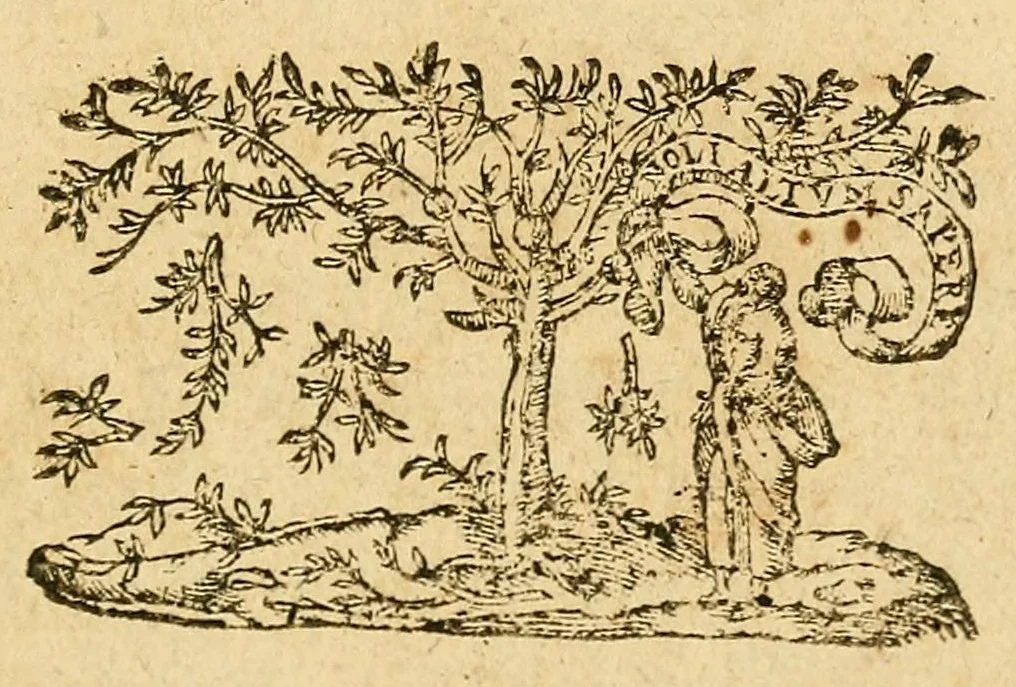 An illustration from Harangve faicte de la part de la Chambre Ecclesiastiqve : En celle du Tiers estat, sur l'article du serment, 1615, leaf 1