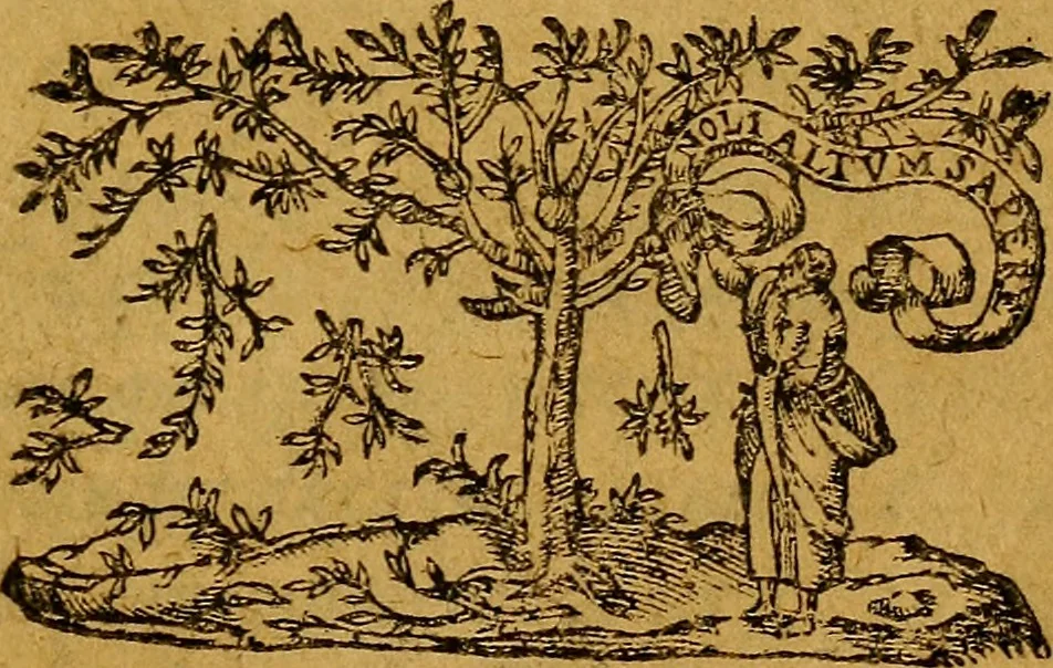 An illustration from Harangve faicte de la part de la Chambre Ecclesiastiqve : En celle du Tiers estat, sur l'article du serment, 1615, leaf 6