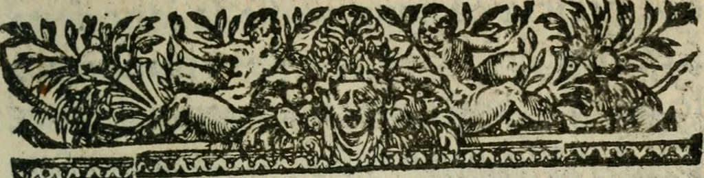 An illustration from Harangve fvnebre de Henry le Grand Qvatriesme de ce nom ... Prononcee en la grande eglise cathedrale de Mets, le 21. iour de iuin durant l'office funebre, & depuis, 1610, leaf 20