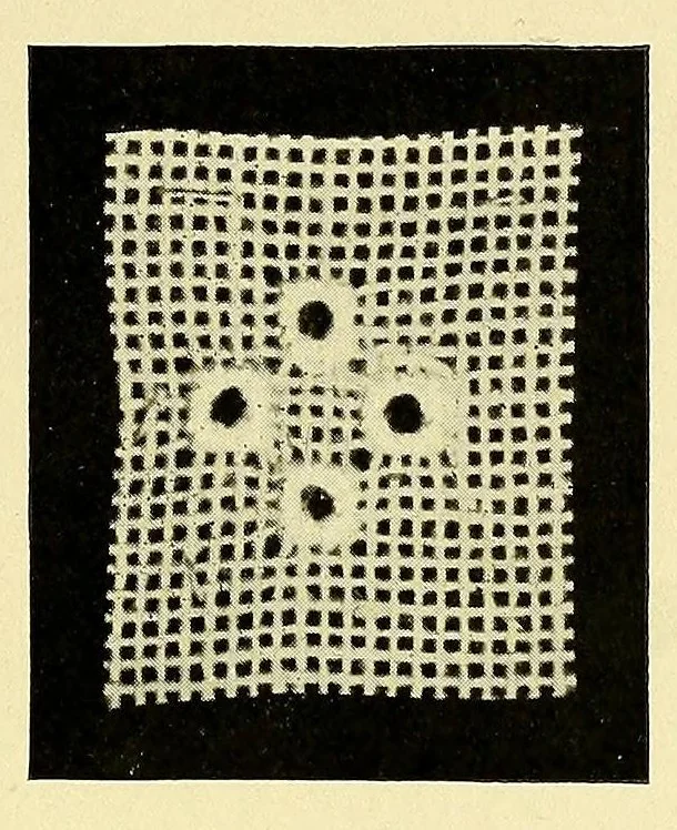 An illustration from Hardanger art needle work, 1904, leaf 15
