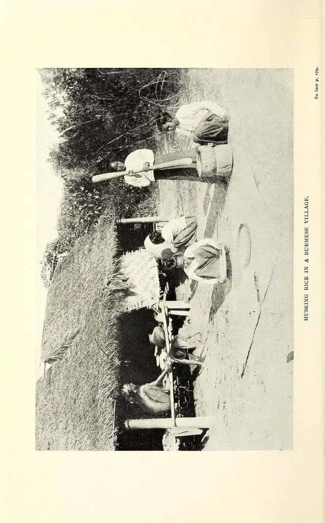 An illustration from The harim and the purdah; studies of Oriental women, 1916, leaf 212