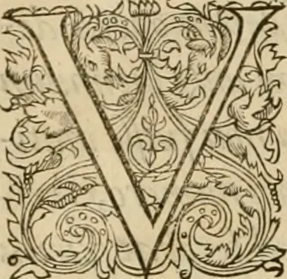 An illustration from Harmonia ex Evangelistis tribus composita Matthaeo, Marco, & Luca, 1582, leaf 13