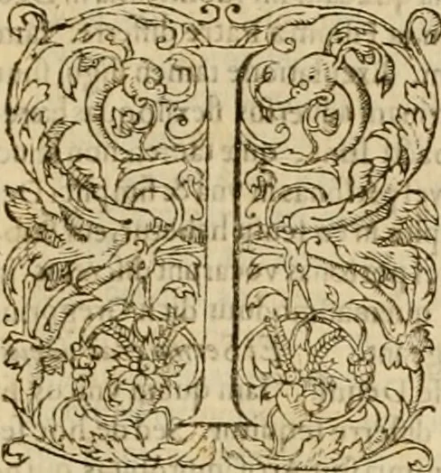 An illustration from Harmonia ex Evangelistis tribus composita Matthaeo, Marco, & Luca, 1582, leaf 426