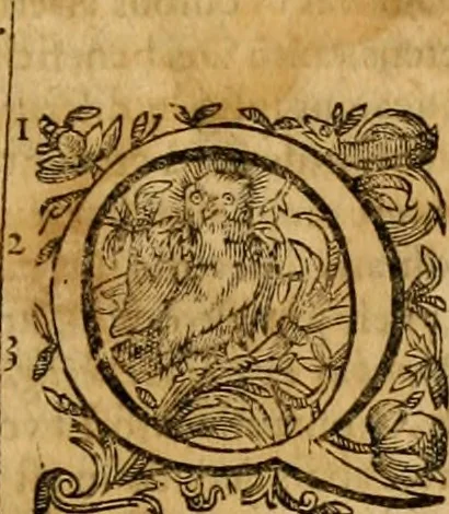 An illustration from Harmonia ex Evangelistis tribus composita Matthaeo, Marco, & Luca, 1614, leaf 14