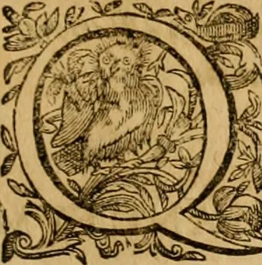 An illustration from Harmonia ex Evangelistis tribus composita Matthaeo, Marco, & Luca, 1614, leaf 416