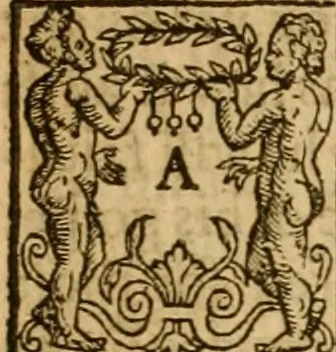 An illustration from A Harmonie upon the three evangelists, Matthew, Mark and Luke, with the commentarie of M. Iohn Calvine : faithfullie translated out of Latine into English, 1610, leaf 868