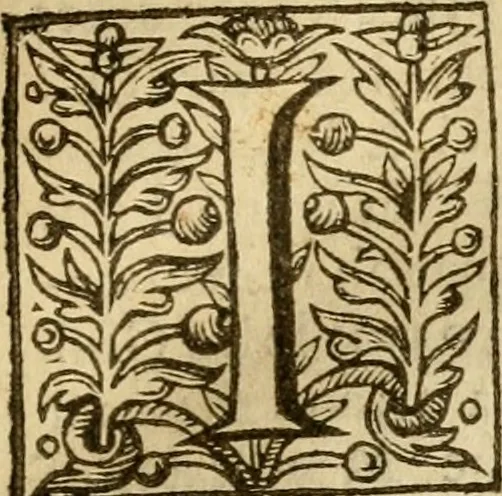 An illustration from A harmonie vpon the three Euangelistes Matthewe, Marke, and Luke : with the commentarie of M Iohn Caluine: faithfully translated out of Latine into English, by E.P. Whereunto is also added a commentarie vpon the Euangelist S. Iohn, by the same authour, 1610, leaf 6