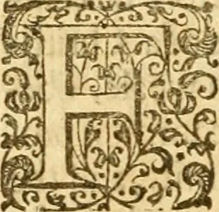 An illustration from An harmony of the confessions of the faith of the Christian and Reformed Churches, which purelie professe the holy doctrine of the Gospell in all the chiefe kingdomes, nations, and prouinces of Europe .., 1643, leaf 243
