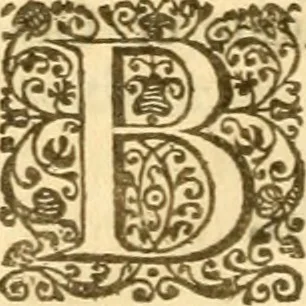 An illustration from An harmony of the confessions of the faith of the Christian and Reformed Churches, which purelie professe the holy doctrine of the Gospell in all the chiefe kingdomes, nations, and prouinces of Europe .., 1643, leaf 325