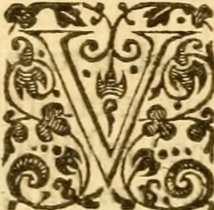An illustration from An harmony of the confessions of the faith of the Christian and Reformed Churches, which purelie professe the holy doctrine of the Gospell in all the chiefe kingdomes, nations, and prouinces of Europe .., 1643, leaf 439