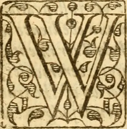 An illustration from An harmony of the confessions of the faith of the Christian and Reformed Churches, which purelie professe the holy doctrine of the Gospell in all the chiefe kingdomes, nations, and prouinces of Europe .., 1643, leaf 564