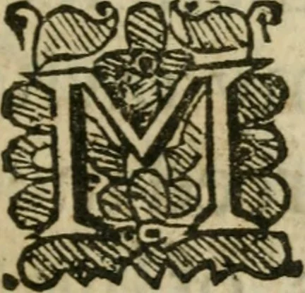 An illustration from The harmony of the world : being a discourse of God, heaven, angels, stars, planets, earth, the miraculous descentions and ascentions of spirits : with the nature and harmony of mans body, the art of preparing Rosie Crucian medicines to cure all diseases : their rules to raise bodies decayed, which are verified by a practical examination of principles in the great world : whereunto is added, the state of the New Jerusalem, grounded upon the knowledge of nature, light of reason, phylosophy and divinity : all fitted to the understanding, use and profit of wisdomes children, and communicated to the sons of art, 1662, leaf 14
