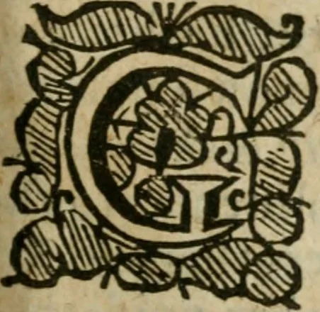 An illustration from The harmony of the world : being a discourse of God, heaven, angels, stars, planets, earth, the miraculous descentions and ascentions of spirits : with the nature and harmony of mans body, the art of preparing Rosie Crucian medicines to cure all diseases : their rules to raise bodies decayed, which are verified by a practical examination of principles in the great world : whereunto is added, the state of the New Jerusalem, grounded upon the knowledge of nature, light of reason, phylosophy and divinity : all fitted to the understanding, use and profit of wisdomes children, and communicated to the sons of art, 1662, leaf 90