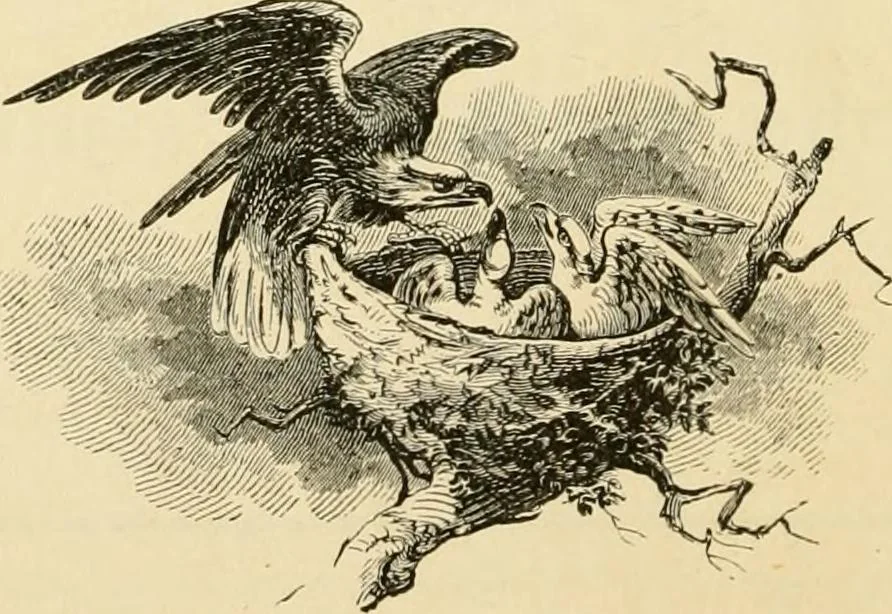 An illustration from Harpel's typograph : or Book of specimens containing useful information, suggestions and a collection of examples of letterpress job printing arranged for the assistance of master printers, amateurs, apprentices, and others,, 1870, leaf 180