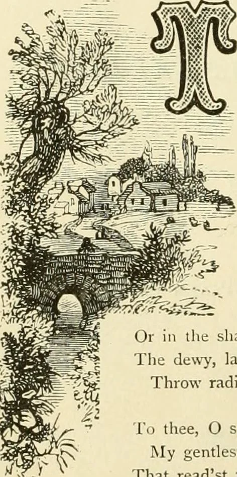 An illustration from Harpel's typograph : or Book of specimens containing useful information, suggestions and a collection of examples of letterpress job printing arranged for the assistance of master printers, amateurs, apprentices, and others,, 1870, leaf 190