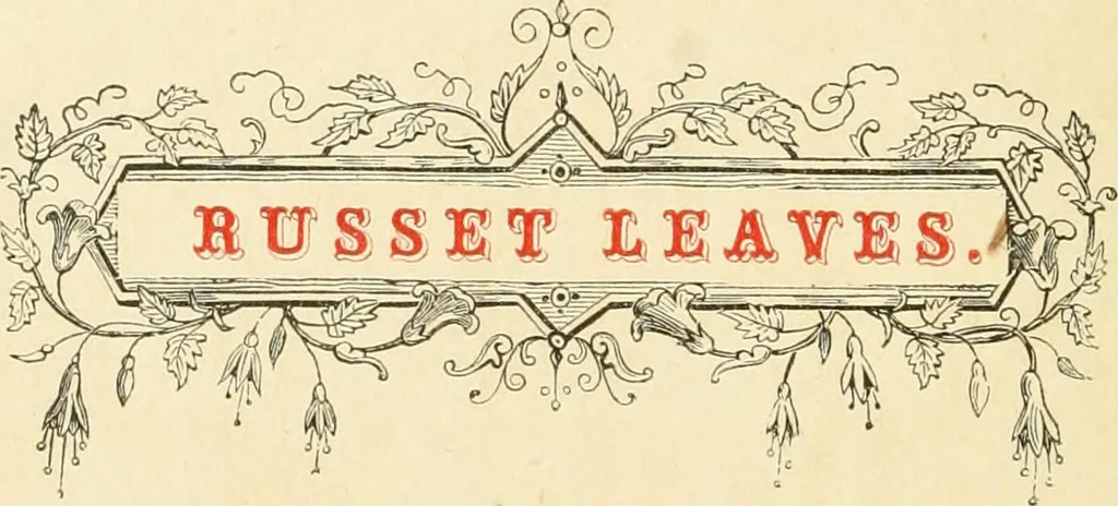 An illustration from Harpel's typograph : or Book of specimens containing useful information, suggestions and a collection of examples of letterpress job printing arranged for the assistance of master printers, amateurs, apprentices, and others,, 1870, leaf 76
