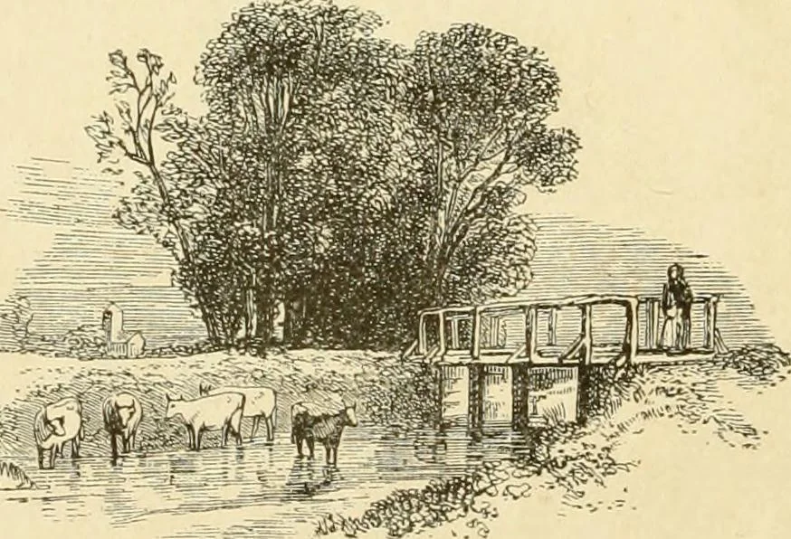 An illustration from Harpel's typograph : or Book of specimens containing useful information, suggestions and a collection of examples of letterpress job printing arranged for the assistance of master printers, amateurs, apprentices, and others,, 1870, leaf 76