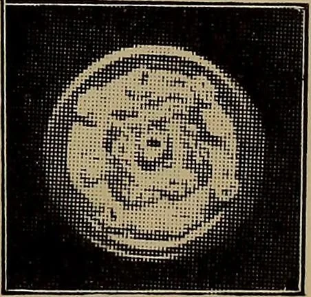 An illustration from Harper's handy-book for girls, ed, 1910, leaf 133