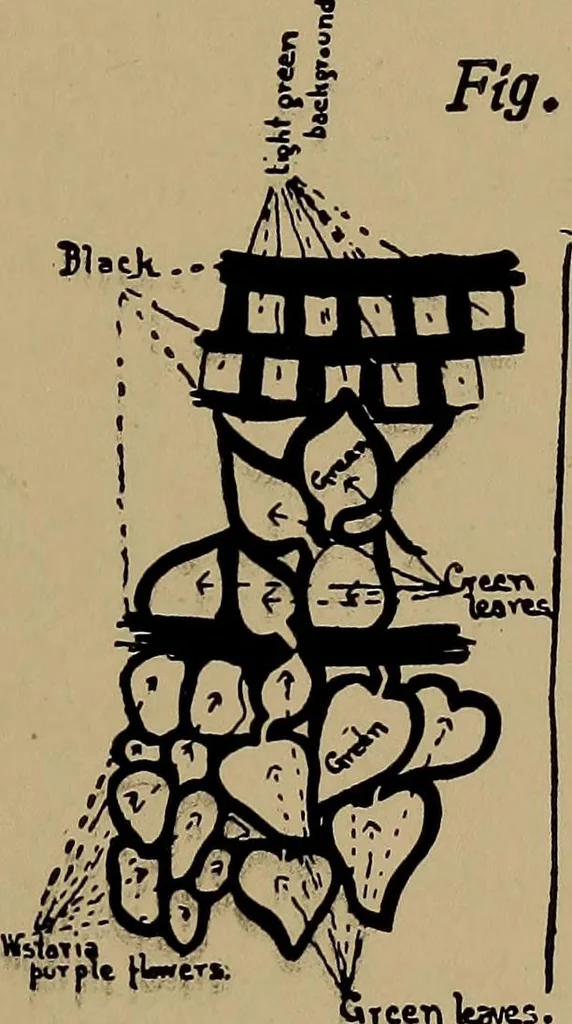 An illustration from Harper's handy-book for girls, ed, 1910, leaf 199