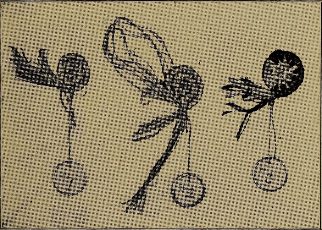 An illustration from Harper's handy-book for girls, ed, 1910, leaf 205