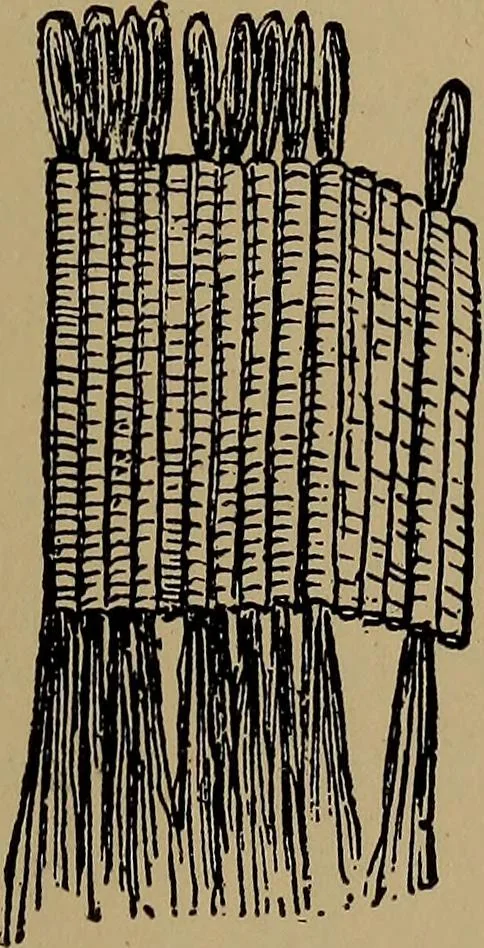 An illustration from Harper's handy-book for girls, ed, 1910, leaf 269