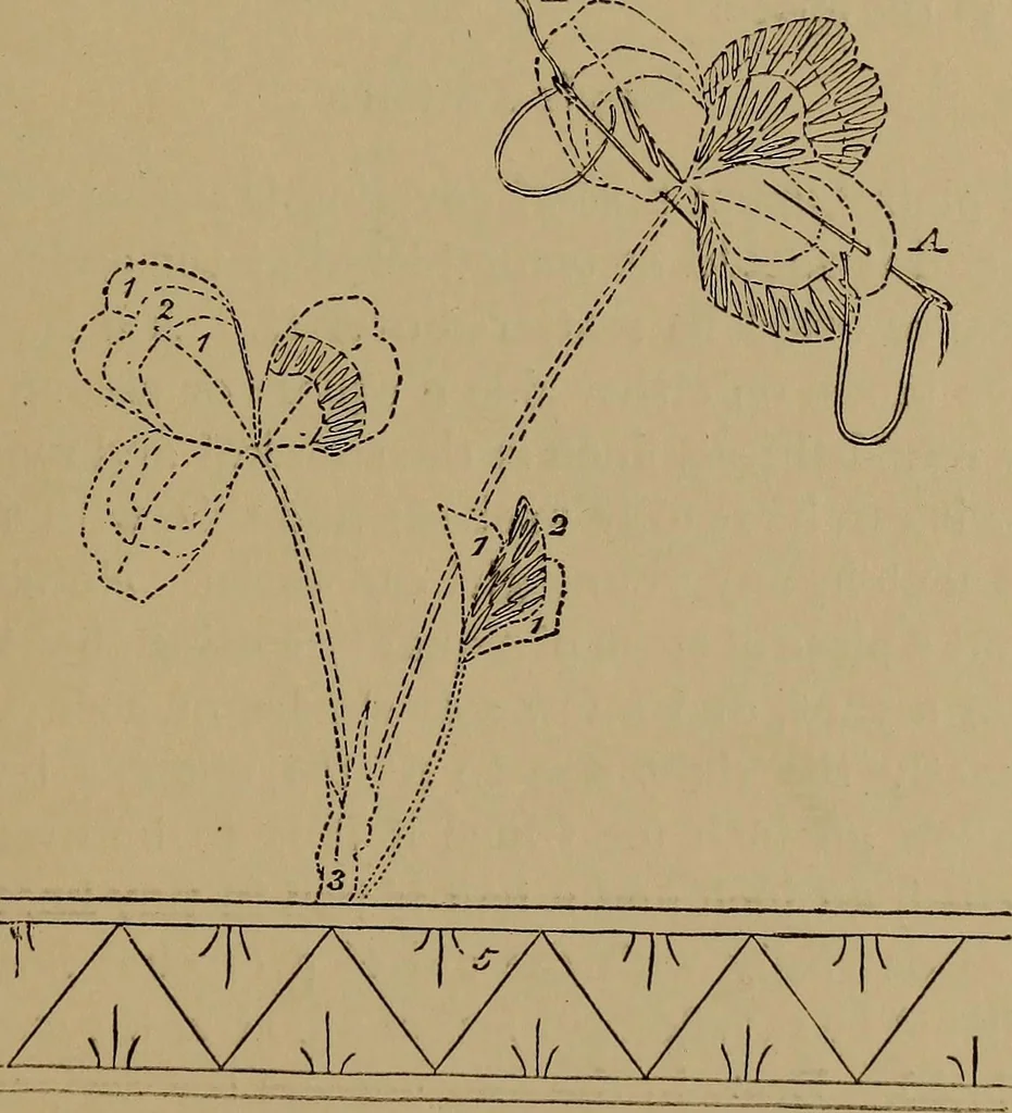 An illustration from Harper's handy-book for girls, ed, 1910, leaf 279