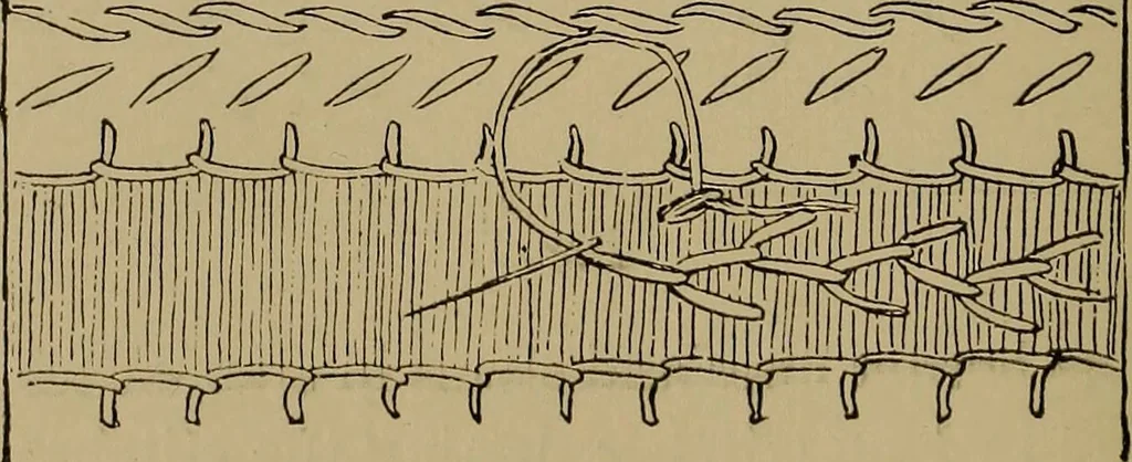 An illustration from Harper's handy-book for girls, ed, 1910, leaf 282