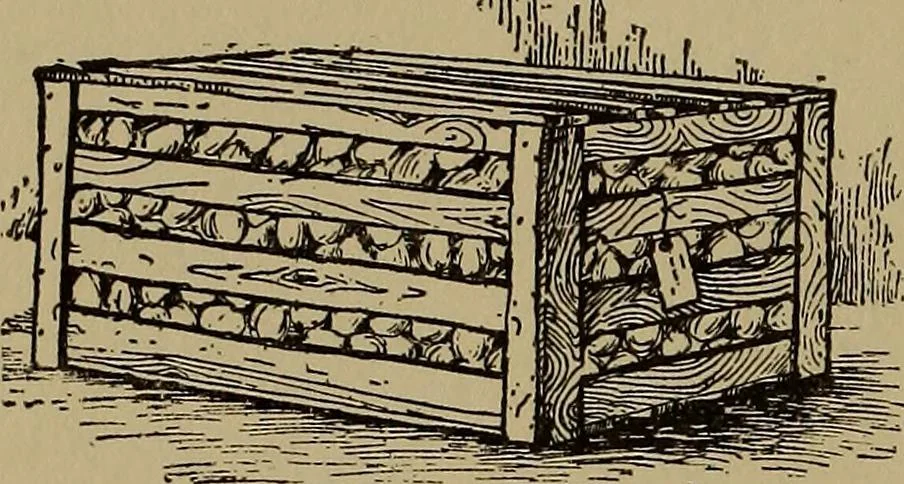 An illustration from Harper's handy-book for girls, ed, 1910, leaf 292