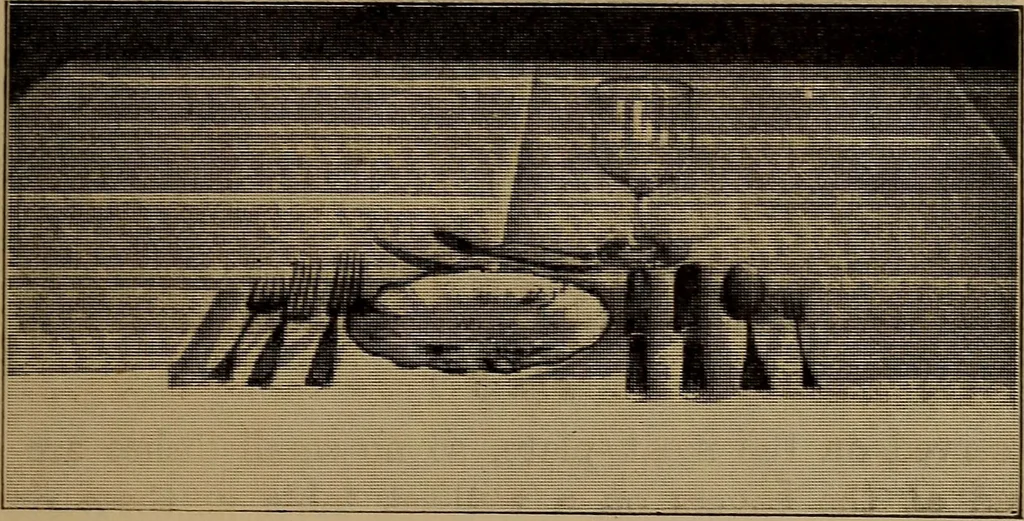 An illustration from Harper's handy-book for girls, ed, 1910, leaf 355
