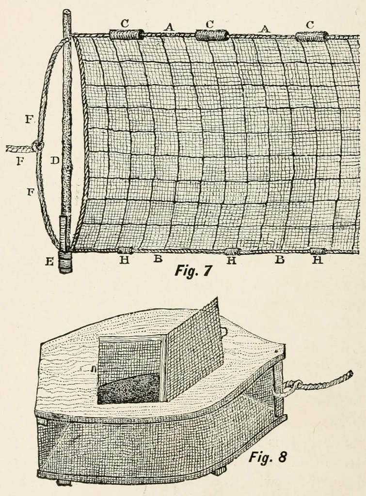 An illustration from Harper's outdoor book for boys, 1907, leaf 180