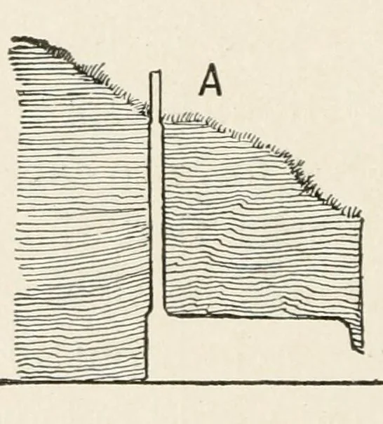 An illustration from Harper's outdoor book for boys, 1907, leaf 342