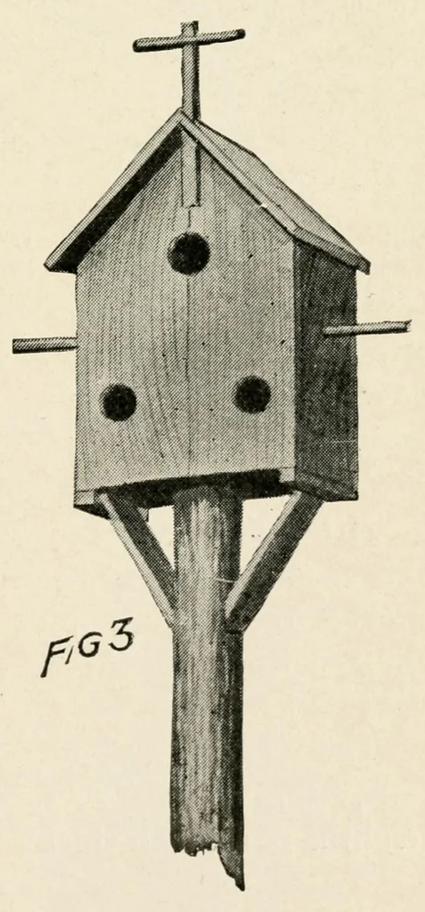 An illustration from Harper's outdoor book for boys, 1907, leaf 49