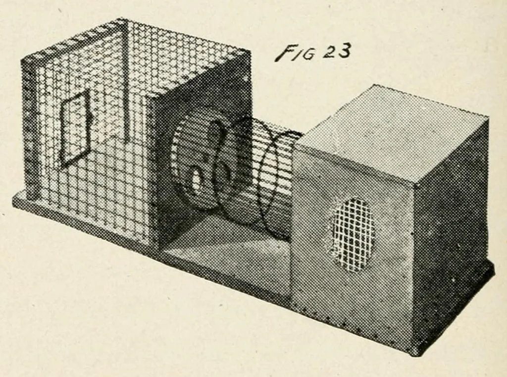 An illustration from Harper's outdoor book for boys, 1907, leaf 64