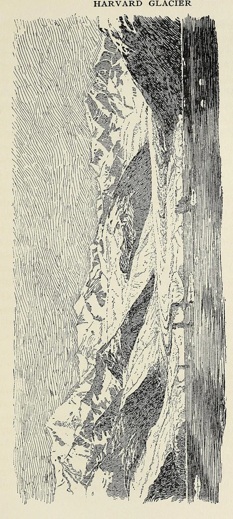 An illustration from Harriman Alaska series. vol. I-V, VIII-XIV, 1910, leaf 169