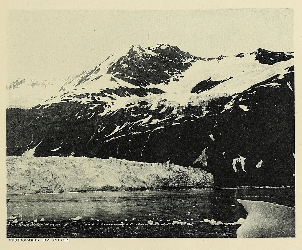 An illustration from Harriman Alaska series. vol. I-V, VIII-XIV, 1910, leaf 181