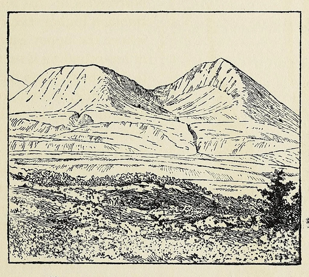 An illustration from Harriman Alaska series. vol. I-V, VIII-XIV, 1910, leaf 277
