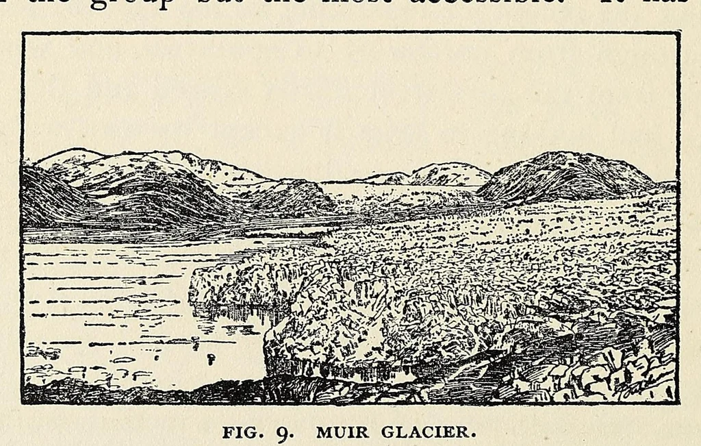 An illustration from Harriman Alaska series. vol. I-V, VIII-XIV, 1910, leaf 50