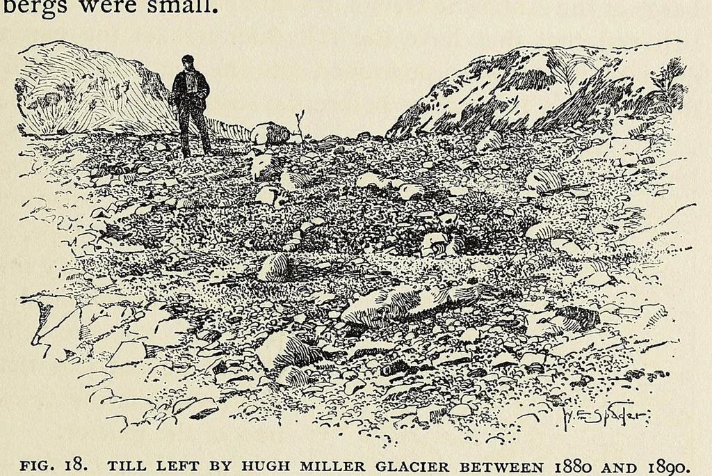 An illustration from Harriman Alaska series. vol. I-V, VIII-XIV, 1910, leaf 65