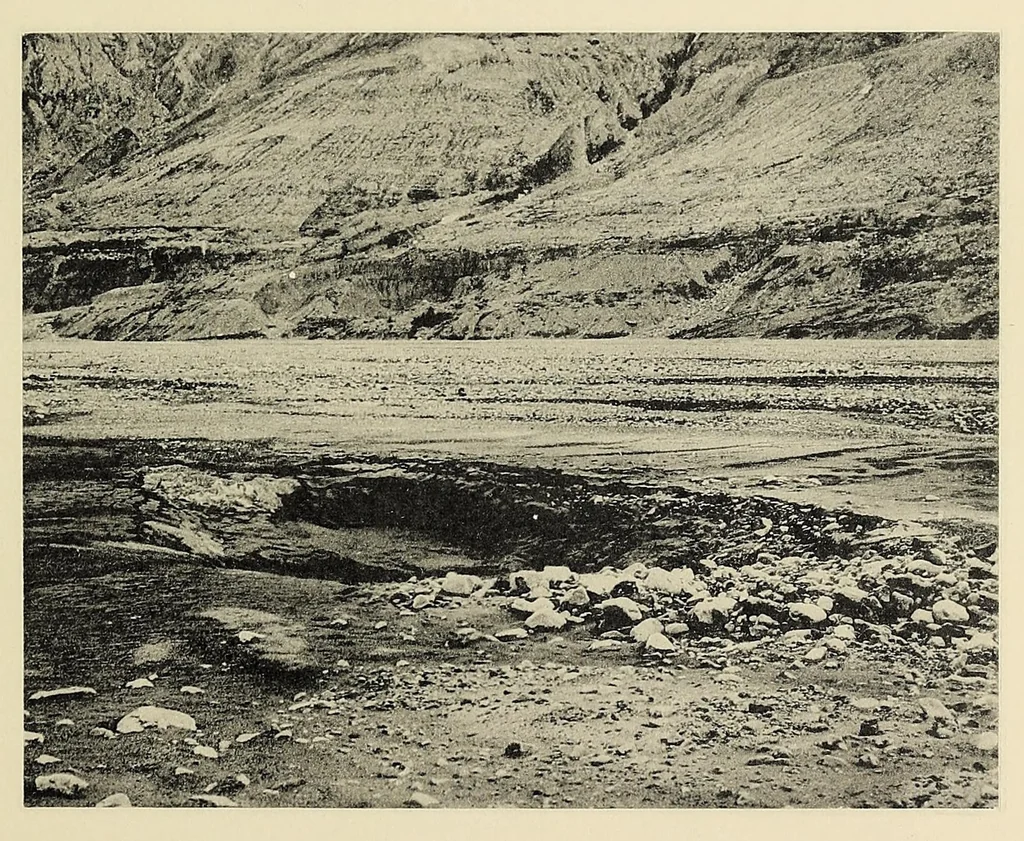 An illustration from Harriman Alaska series. vol. I-V, VIII-XIV, 1910, leaf 97